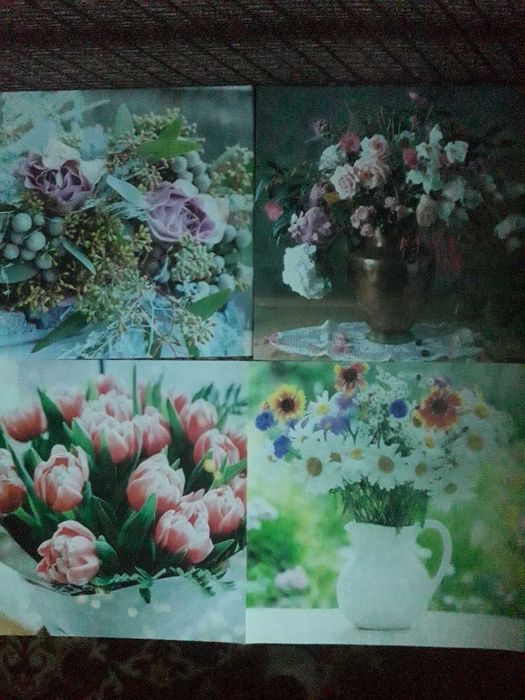 Na puzzle można pocięć te zdjęcia kwiatów.