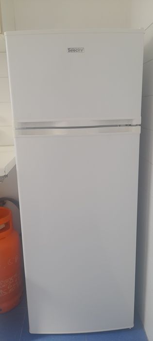 Frigorífico SelecLine 169L