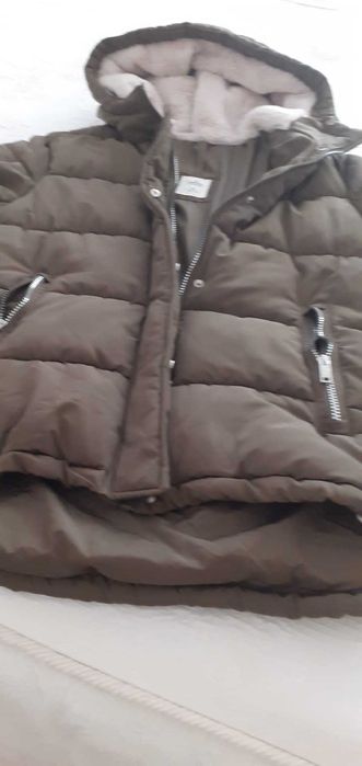 Casaco Acolchoado da Springfield