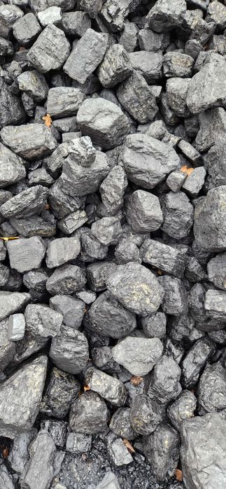 Polski gruby węgiel, ekogroszek