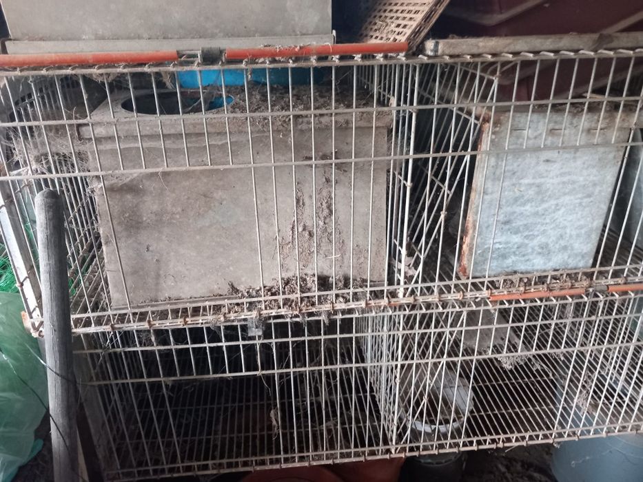 Jaula para coelhos