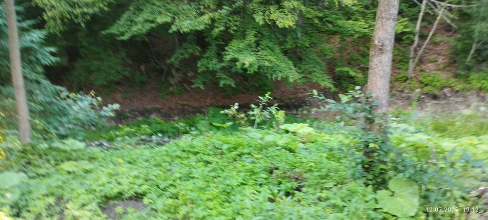 Здається будиночок в Карпатах.