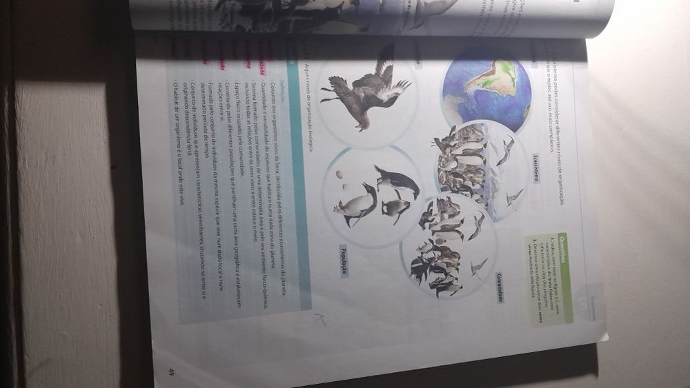 CienTic Ciências Naturais 8.° ano