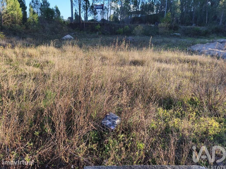 Terreno para construção em Ansião