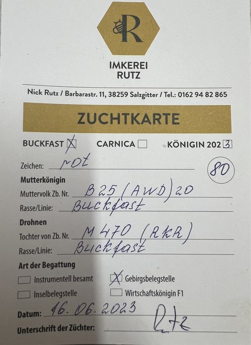 плідні матки , бакфаст , бджоли , неплідні , пакети, карніка, карпатка