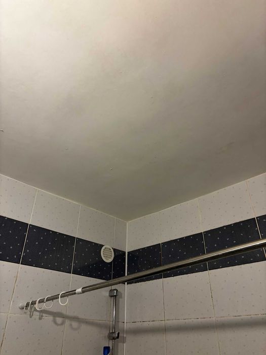 Deratyzacja Dezynsekcja Pluskwy Prusaki Komary Odgrzybianie Ozonowanie