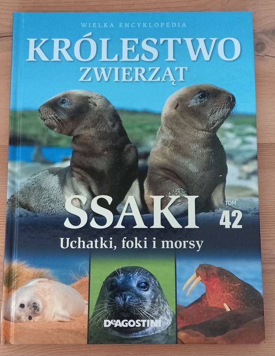 Królestwo zwierząt ssaki uchatki, foki i morsy, tom 42
