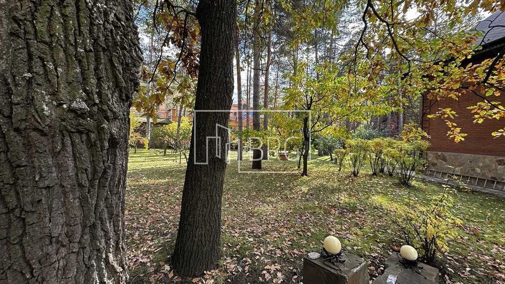 Продажа участка в сосновом лесу 52 сотки Козин Пятихатки без комиссии