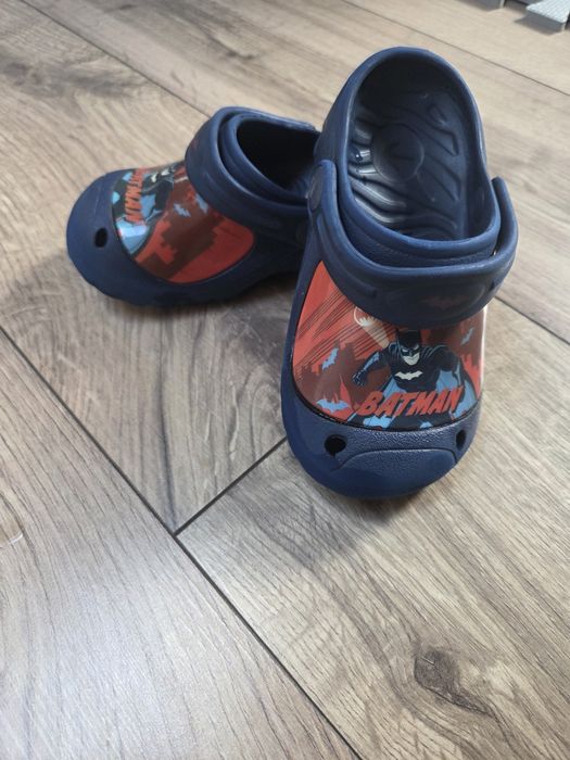 Krokusy granatowe Batman  24/25