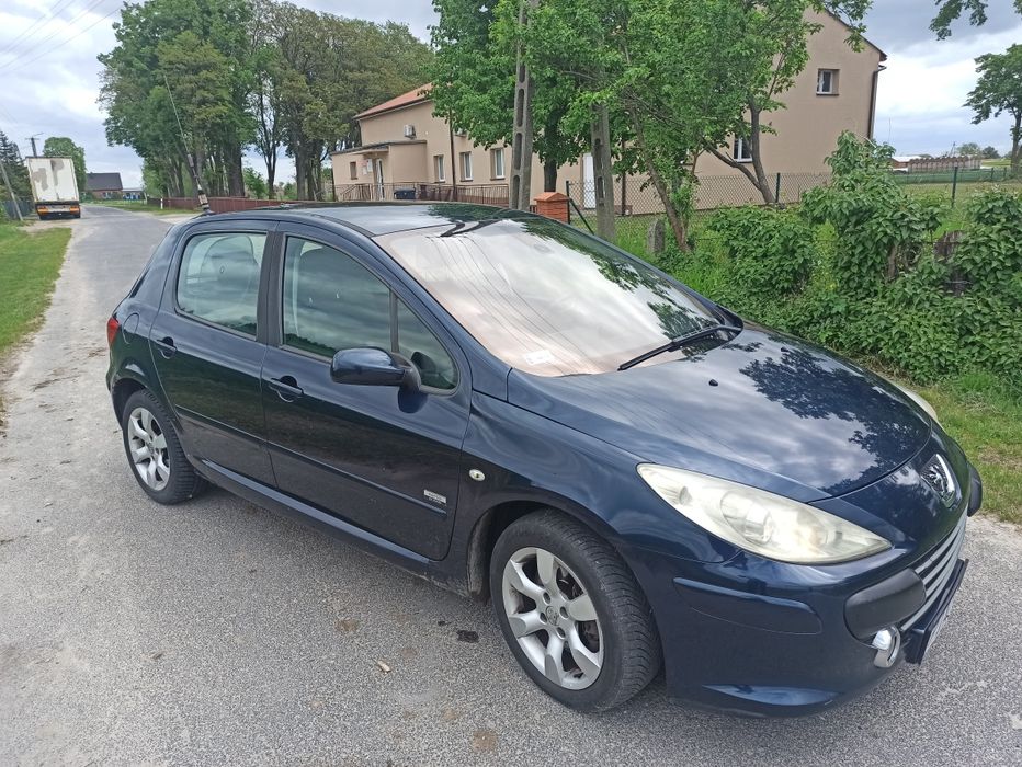 Peugeot 307 2.0 136km  2006