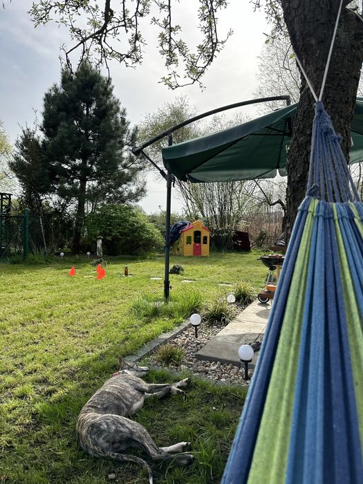 Działka ROD - ul. Morska