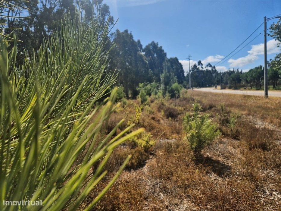 Terreno rústico com possibilidade de construção - Ribas, Figueira d...
