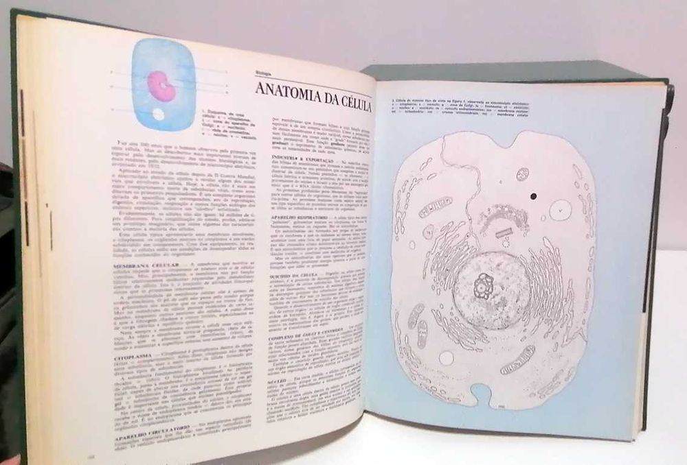 Medicina e Saúde (12 Volumes)