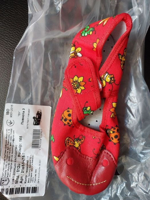 Тапочки для діток в садочок  ( хлопчик