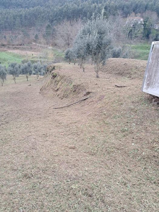 Limpeza de terrenos desmataçao