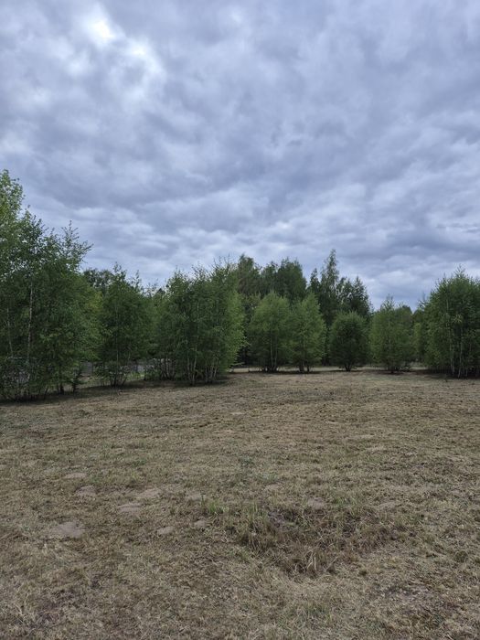 Działka 3100 m2 Stare budy