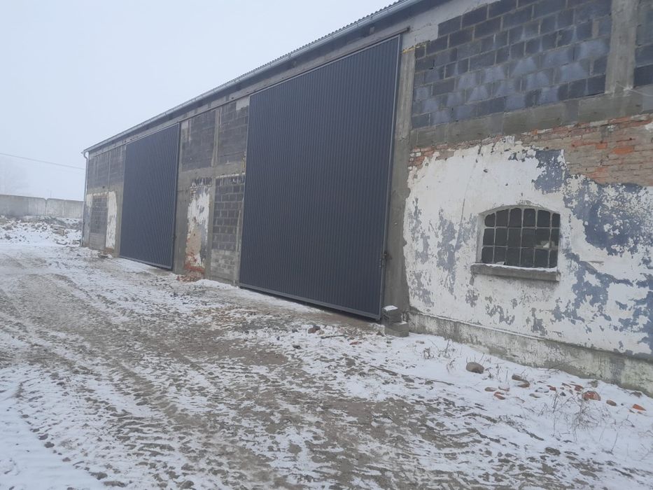 Wynajmę magazyny w  Grzybowie