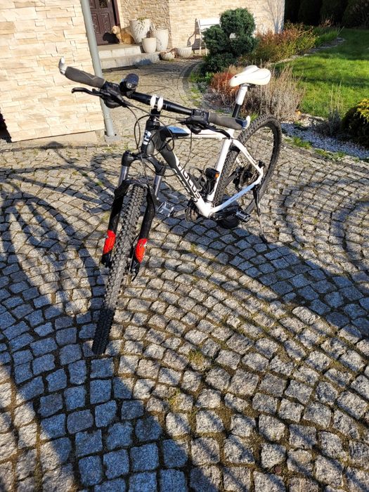 Rower górski focus 29