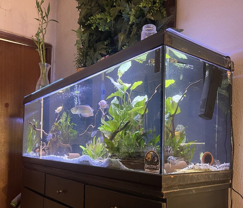 Aquario 150+50+40 com movel