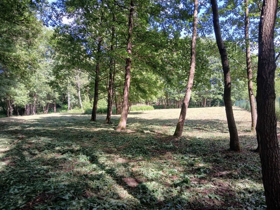 Działka budowlana pośród lasów - Więcej
