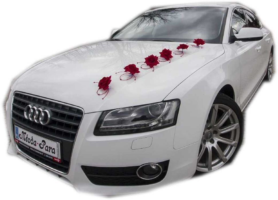 PG Games | Pocket Games Soft | ความแตกต่างที่เป็นตัวตัดสิน