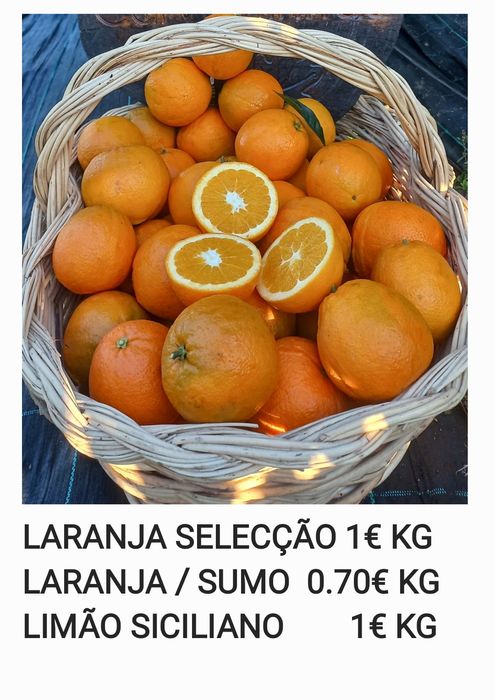 Laranjas selecção