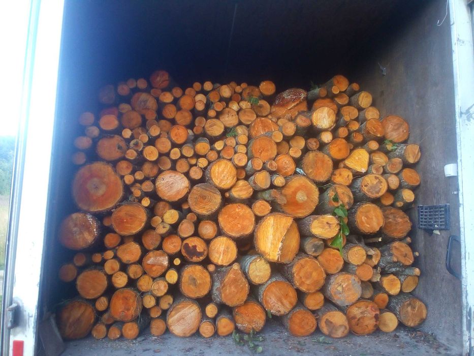 Продам Дрова береза ,вільха,осика