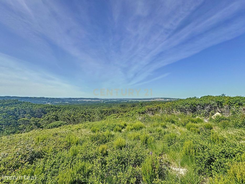 Terreno - Conectado Com A Natureza - Próximo Do Mar — Famalicão, Leiria