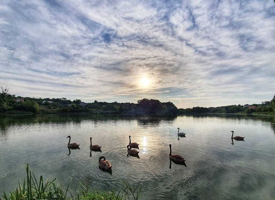 Продаж земельної ділянки в Музичах