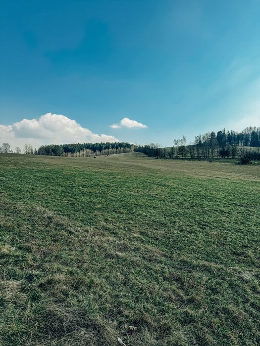 Działka 2806 m² z widokiem na góry  Krzyżanów – Lewin Kłodzki - Widok 3