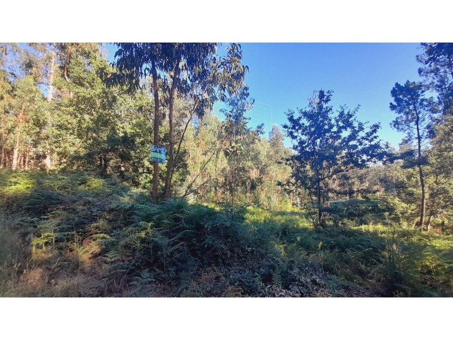 Terreno para construção