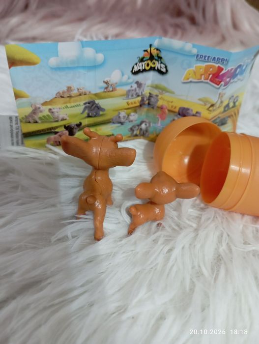Kinder natoons 2026