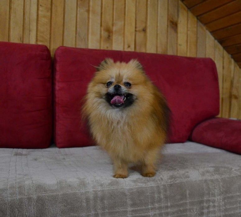 Девочка подружка