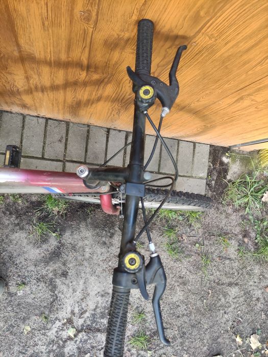 Rower Arctic 26''
