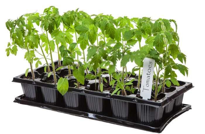 Комплект для розсади 18 вічок: касета+піддон Роздріб 36,94. Гурт 29,55