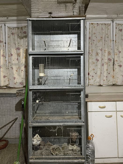 Gaiolas e ninhos para venda