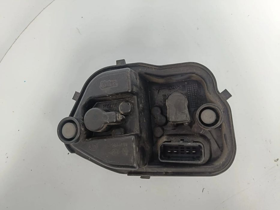 Suporte lâmpada esquerdo RENAULT Megane III (BZ0_)