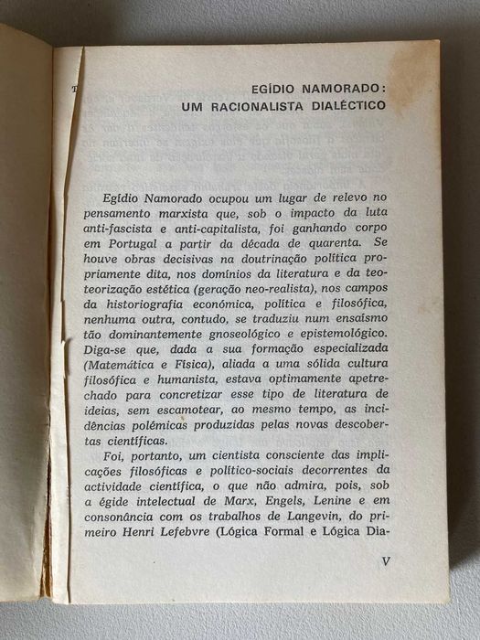 Ponto de Vista, de Egídio Namorado