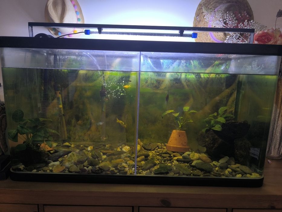Vendo aquário de 120x40x55 cm