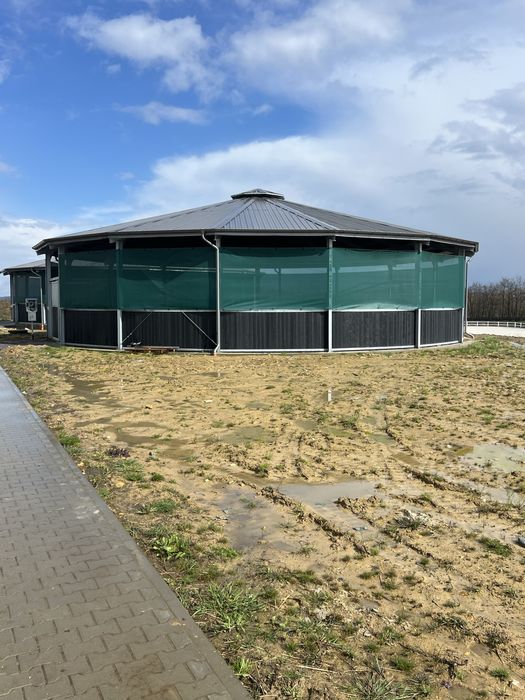 Lonżownik roundpean