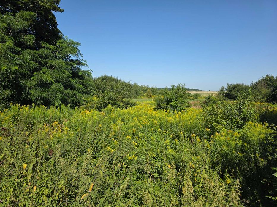 Ділянка на Трасі  Львів - Самбір 1-ша лінія 50 соток