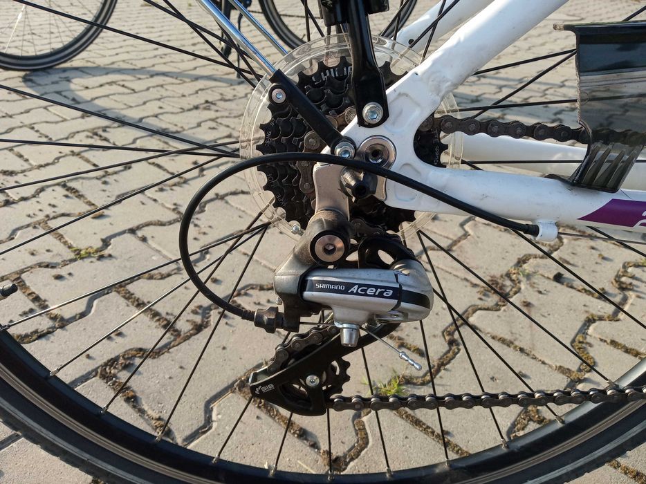 Rower Maxim MT Trekking 2.3 28" rama 17"