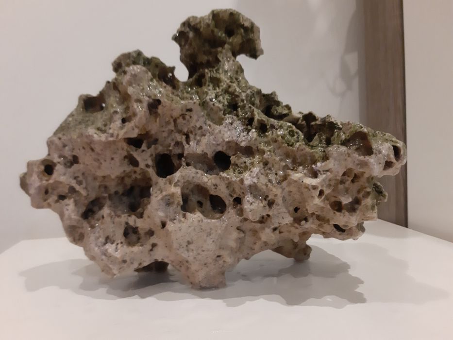 Skała  do akwarium duża