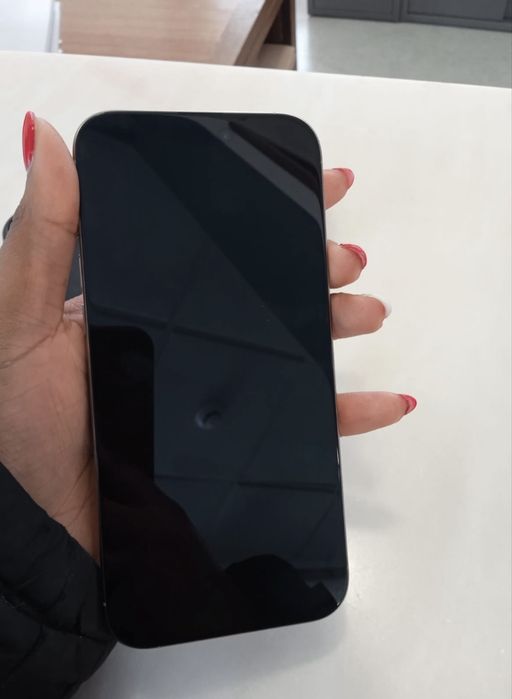 IPhone 16 Pro Max 256 GB