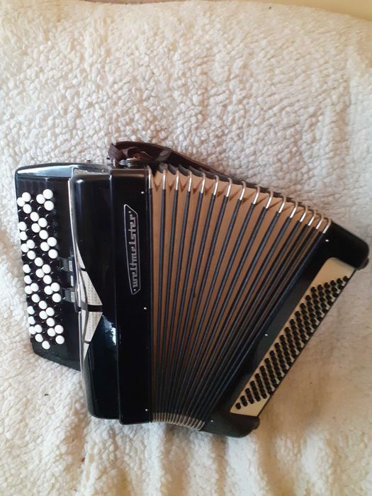 Akordeon guzikowy FIONETTA 96