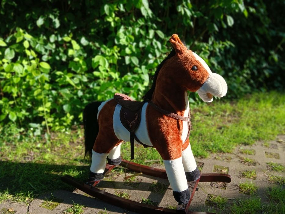 Śpiewający koń na biegunach