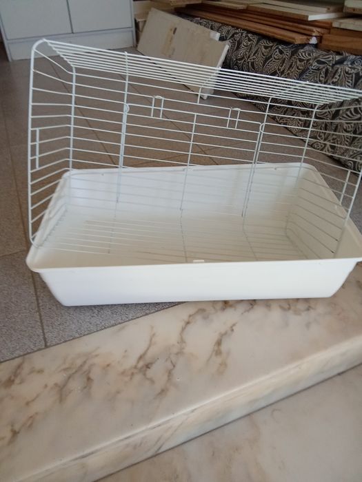 Gaiola de coelho e amester