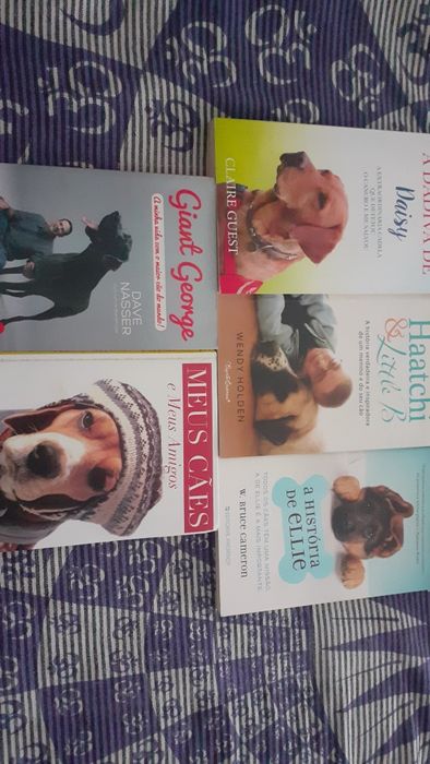 Literatura internacional Petz