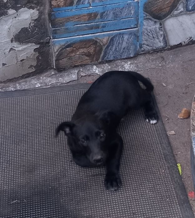 Бой шукає родину