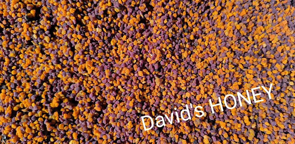 Пилок квітковий бджолиний